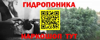 ECSTASY Кимры