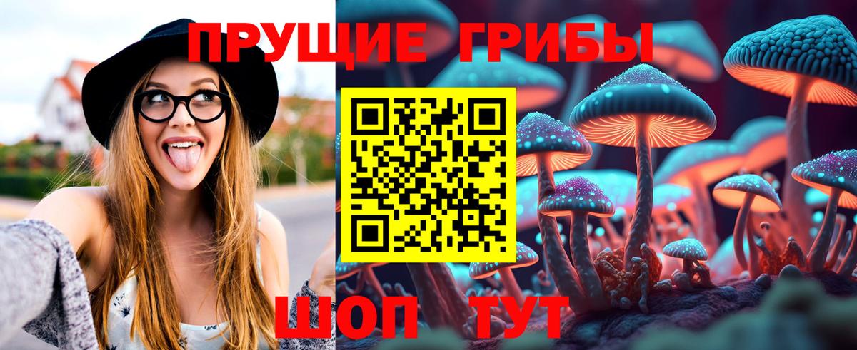 Коряжма  Галлюциногенные грибы мицелий  Вход с VPN 