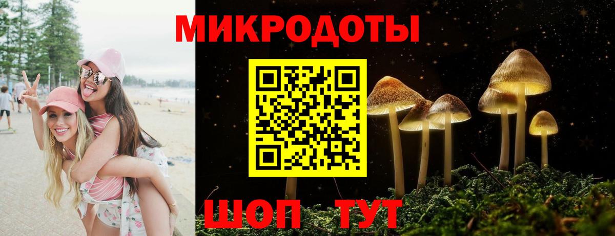 Псилоцибиновые грибы MAGIC MUSHROOMS Коряжма